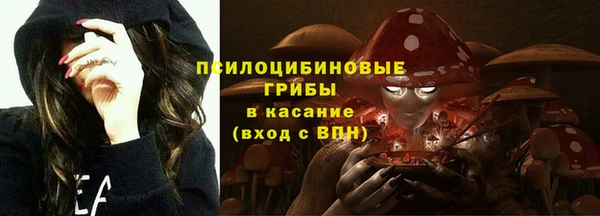 ГАЛЛЮЦИНОГЕННЫЕ ГРИБЫ Алзамай