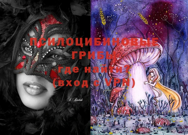 марки lsd Абаза