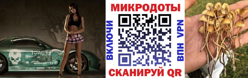 Галлюциногенные грибы мицелий  цена наркотик  Морозовск 